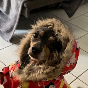 Meet your Posher, Lan